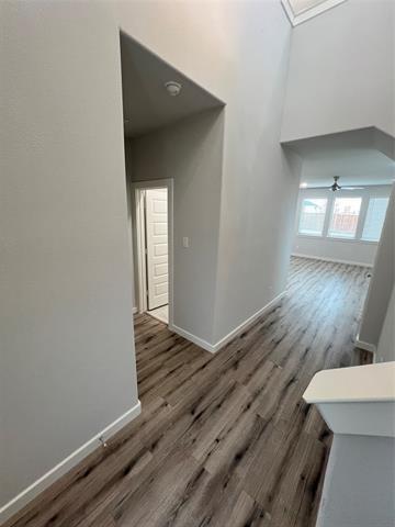 Building Photo - 2804 Spring Side Dr