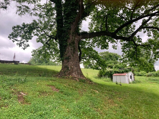 Building Photo - Charming 2 Bedroom/1.5 Bathroom Home in Cockeysville, MD!