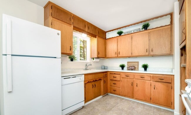 Building Photo - 3 Bedroom 1 Bathroom House Tucked in the T...