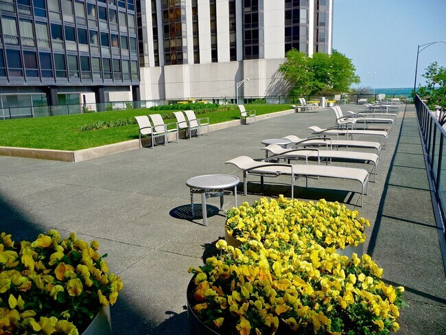 Building Photo - 910 N Lake Shore Dr