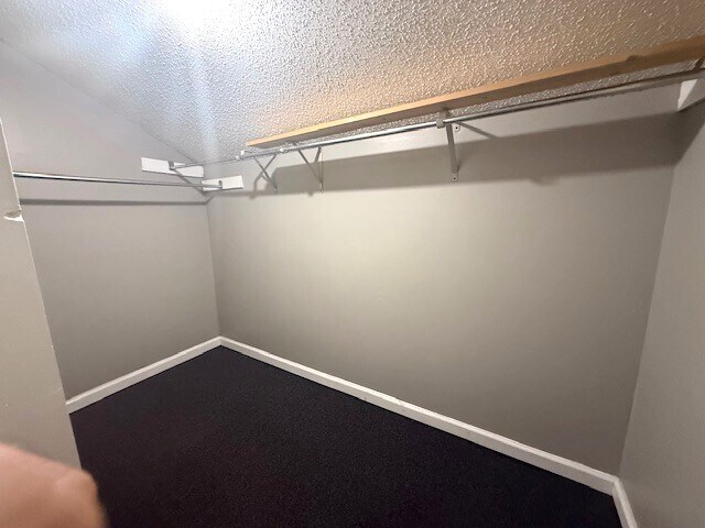 Building Photo - 4230 Cedartree Dr