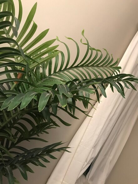 Building Photo - 7349 Balboa Blvd