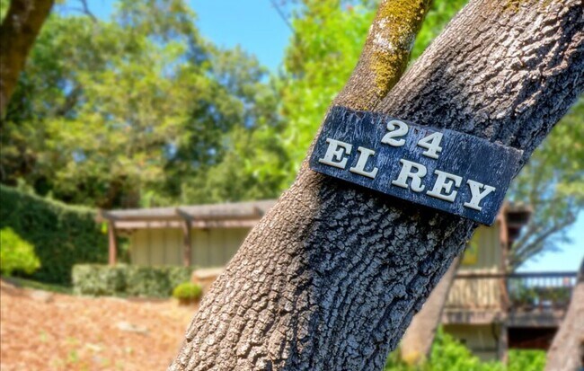 Building Photo - 24 El Rey Rd