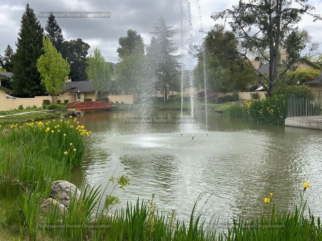 Building Photo - Single level condo in one of the nicest developments in Bennett Valley