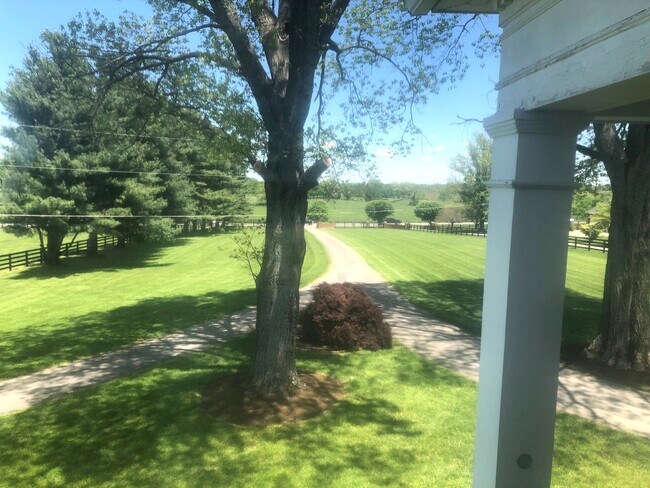 Building Photo - Kentucky mansion overlooking horse farm with stunning views    260323