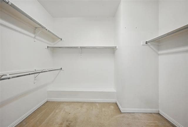 Building Photo - 3813 Edward Dr