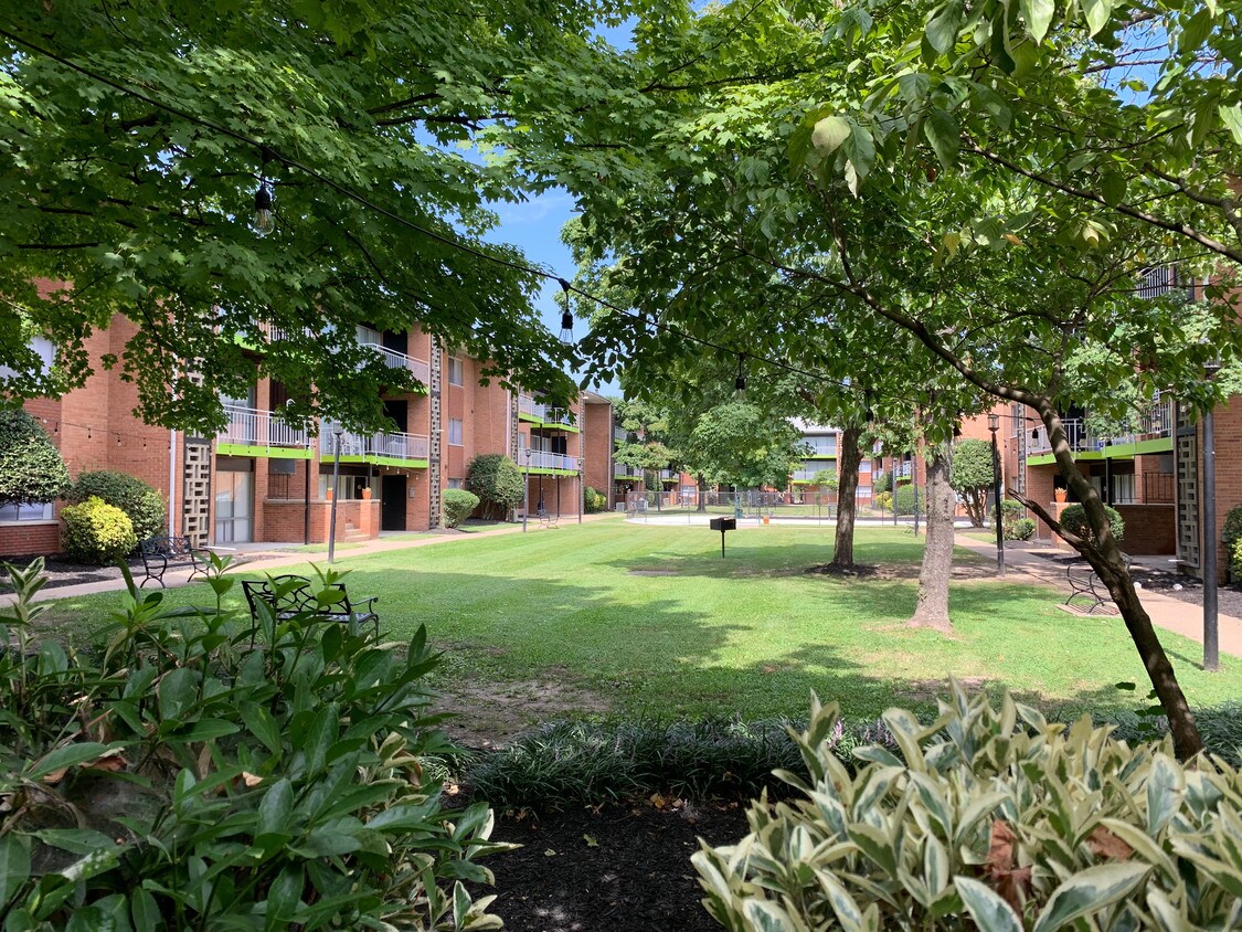 bloom apartments richmond va apartment finder