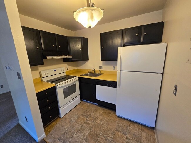 Building Photo - 3585 Arthur Ct