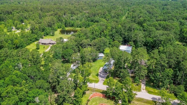 Building Photo - 21326 Big Tree Dr