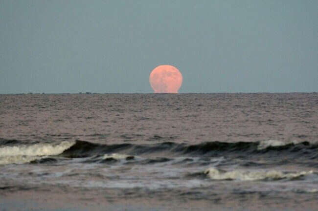 Building Photo - 10 Dune House Ln