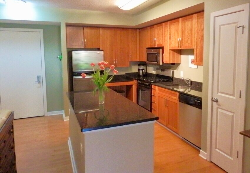Gas Stove, Stainless Steel Appliances & Granite countertops - 475 K St NW