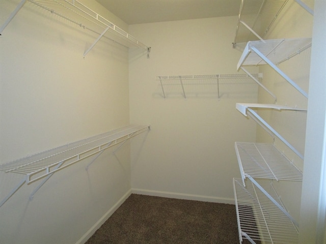 Building Photo - 623 Redwood Ln