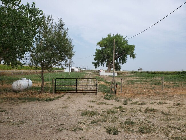 Building Photo - 4 Bedroom Horse Property on 3 acres close to downtown Ault