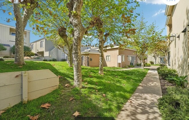 Building Photo - 820 Casanova Ave