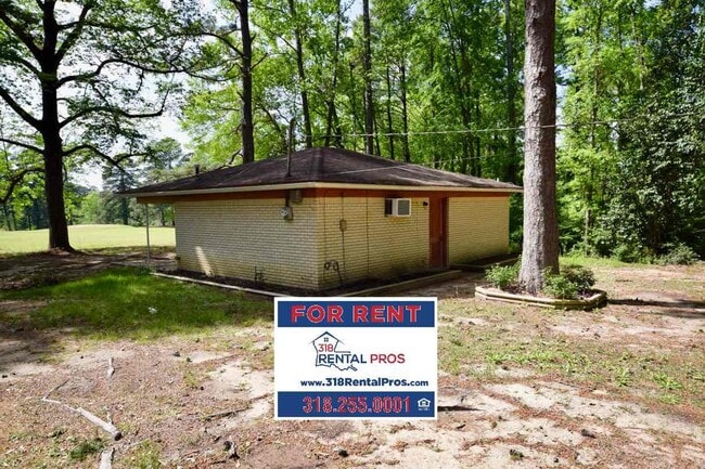 Building Photo - Studio Apartment with Large Yard