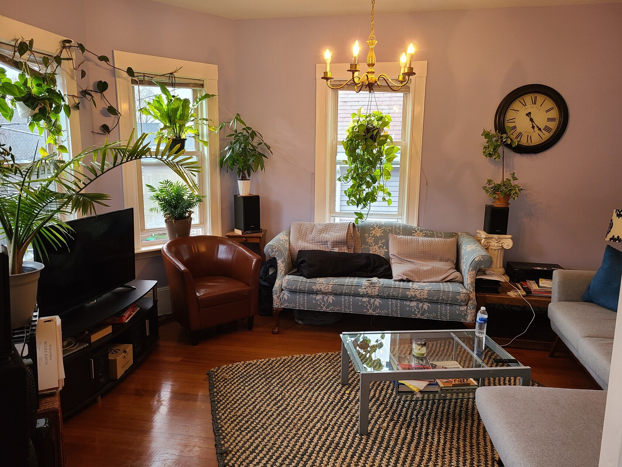 Building Photo - 95 Belmont St