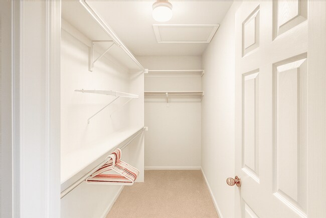 Building Photo - 339 Redrock Ct