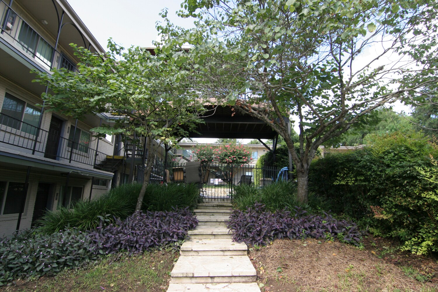 Path to pool - 1202 Newning Ave