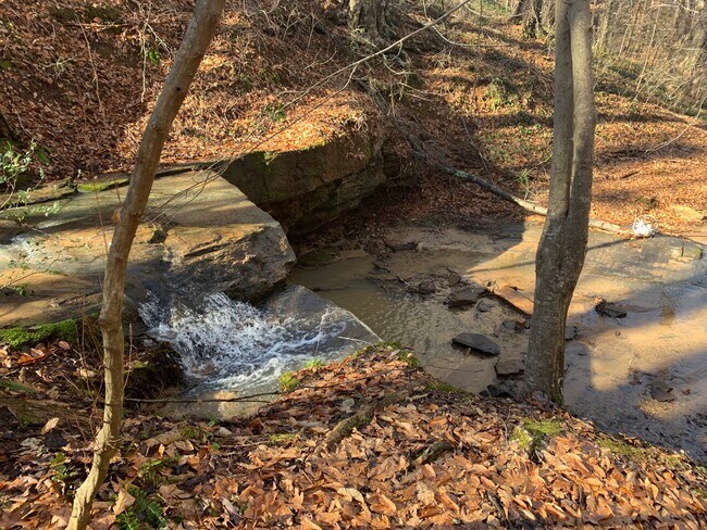 Building Photo - 217 Morehead St