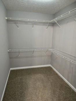 Building Photo - 301 Westminster Dr