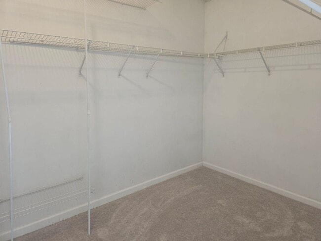 Building Photo - 705 Pine Drift Dr
