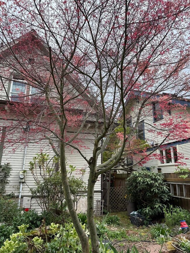 Building Photo - The Perfect Restored University Heights Home -available for rent now!