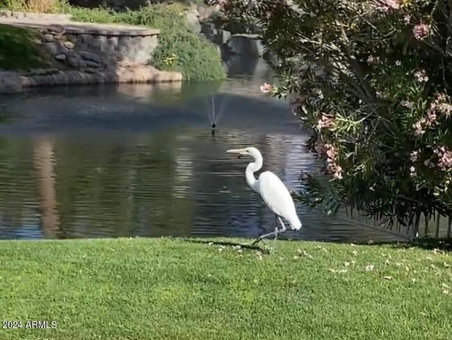 Building Photo - 514 S Marina Dr