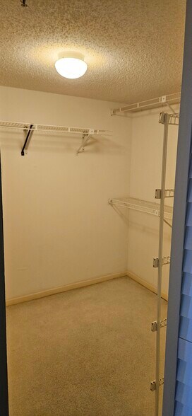 Huge walk-in closet - 4550 Pinebrook Cir