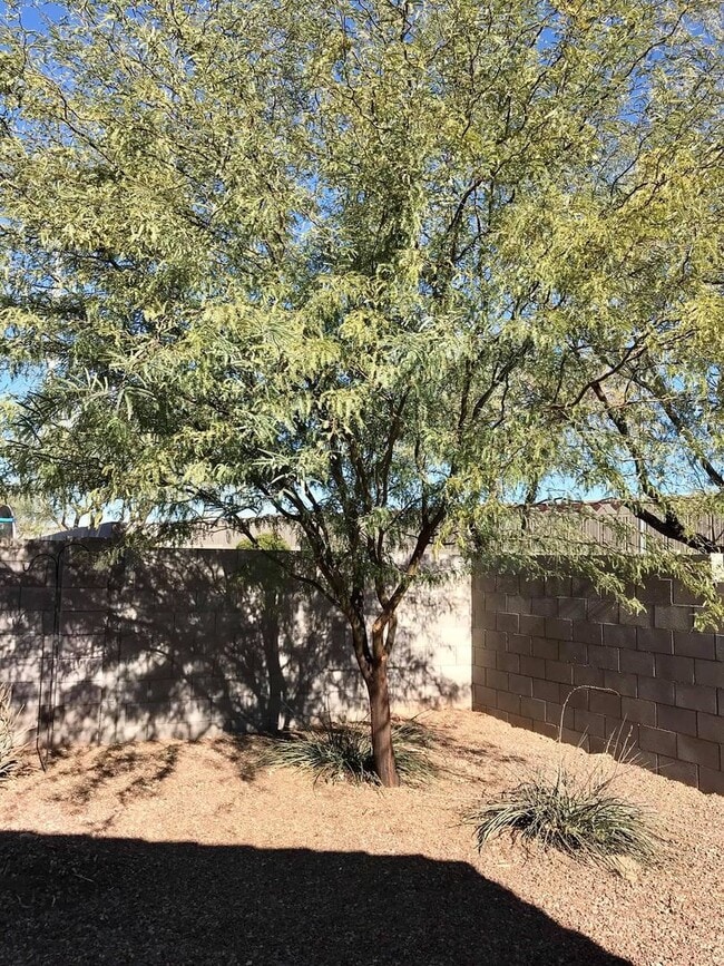 Building Photo - Spacious 3-bedroom plus den in North Phoenix