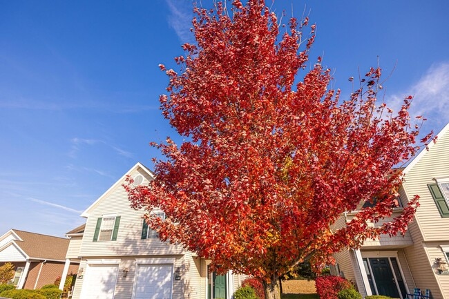 Building Photo - 260 W 44th St