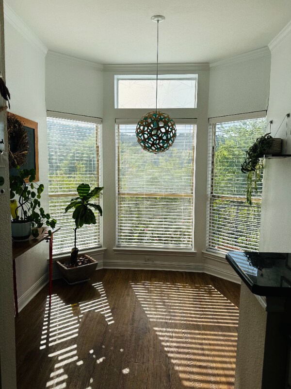 Building Photo - 6000 Shepherd Mountain Cove