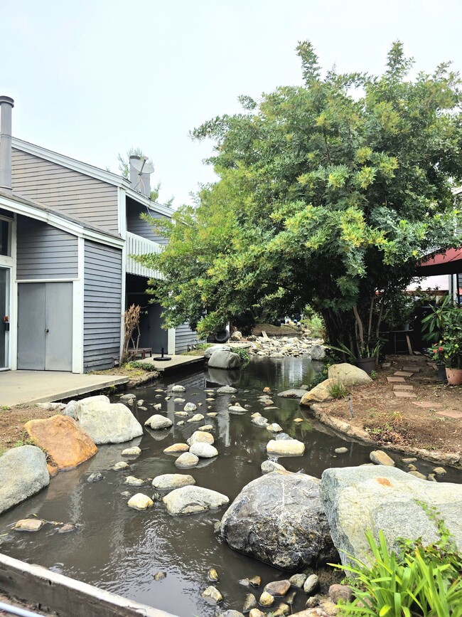 Building Photo - 25369 Pine Creek Ln