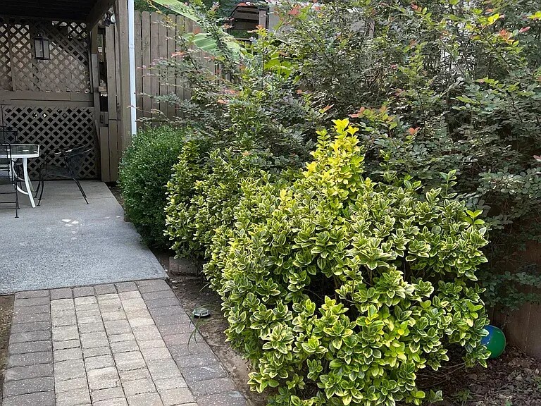 Building Photo - 2247 Rocksram Ct