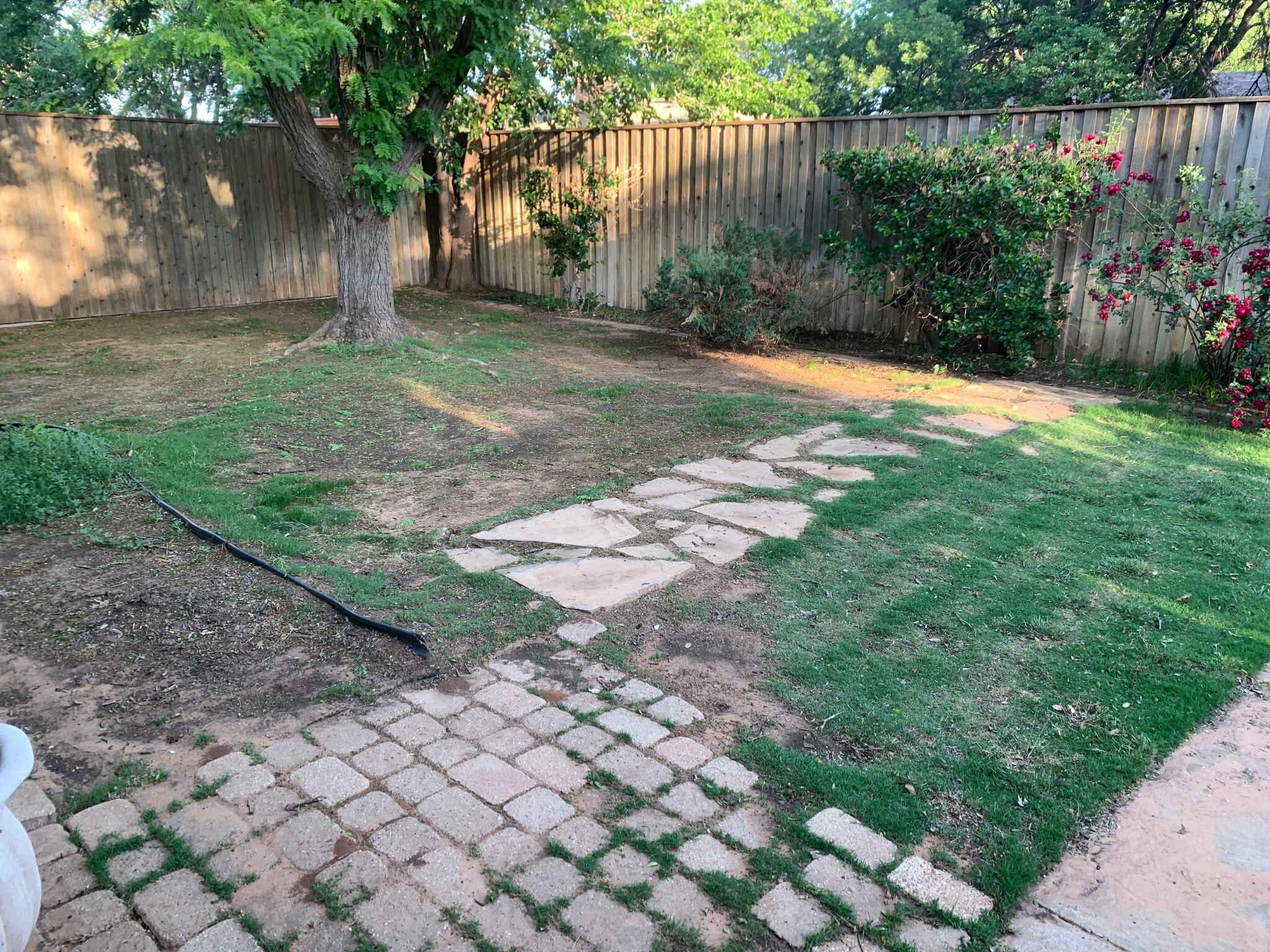 back yard - 5207 90th St