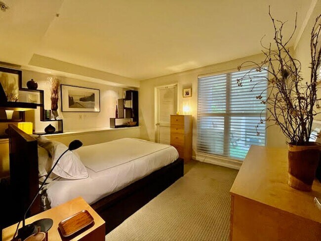 Building Photo - Rare luxury downtown condo w/parking, pool, hot tub and roof deck w/Bay Bridge Views!