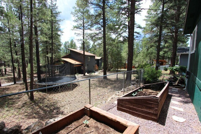 Building Photo - COMING SOON! Spacious Single-Story Home with Fenced Backyard
