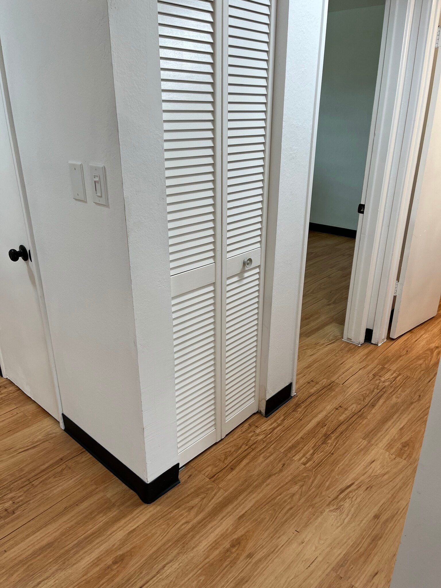 Linen Closet, Hallway entrance Closet - 4607 Plaza Ln