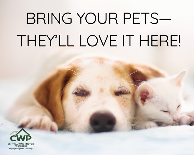 Building Photo - Pet-Friendly, Budget-Friendly, Life-Friendly