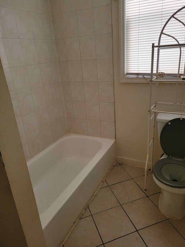 Only one Bathroom(2) - 117 Ridgewood Ave