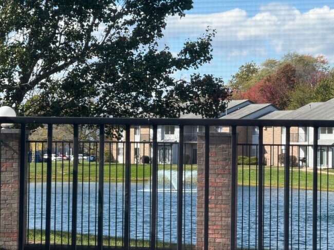 Building Photo - 1 bedroom 1 bath downstairs