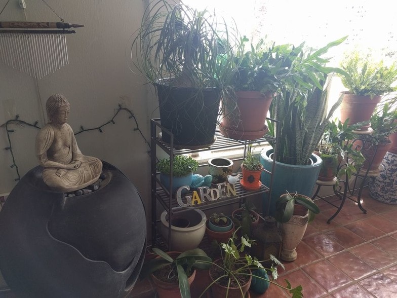 Lanai Garden - 2600 Pualani Way