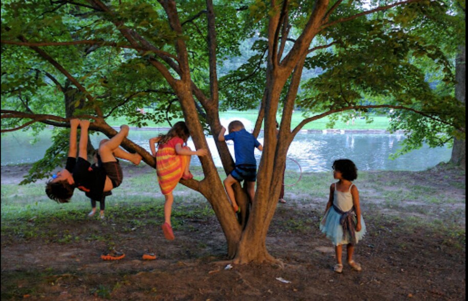 Building Photo - 6655 Musgrave St