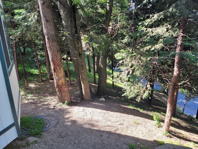 Building Photo - House in the Trees!