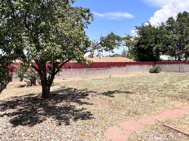 Building Photo - Near Academy Hills Park, Great NE Location...