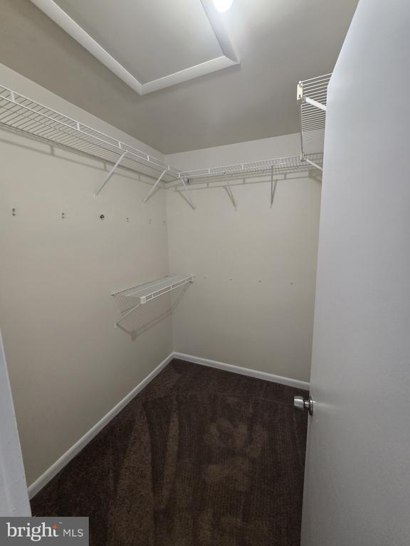 Building Photo - 1003 Spring Valley Ct