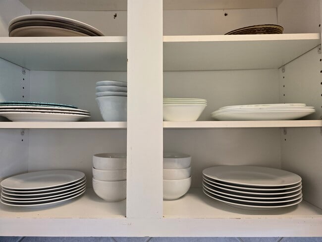 Dishware - 801 Luther St W