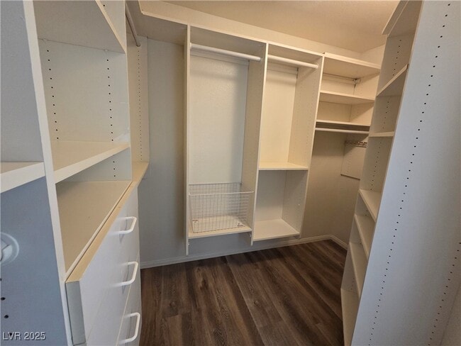 Building Photo - 8204 Tivoli Cove Dr