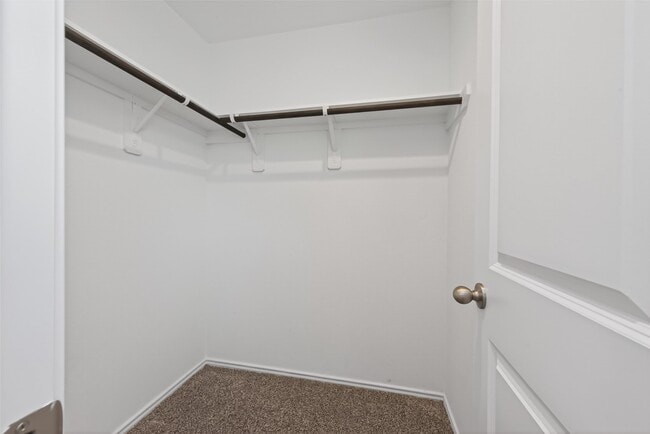 Building Photo - 11933 Summer Oak Trl