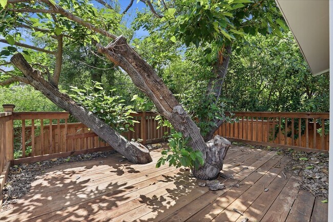 Building Photo - 13693 Peyton Dr