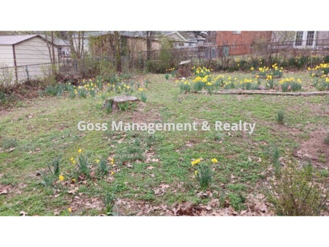 Building Photo - AVAILABLE NOW!!!